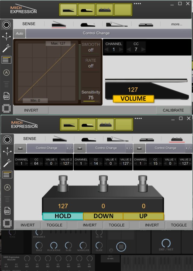 midiExpression_LABELS.jpg